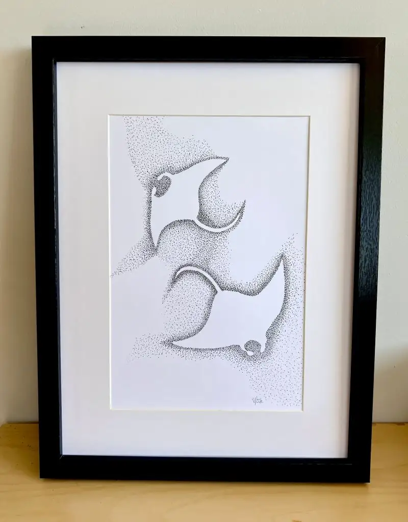 dessin d'un duo de raies mantas en pointillisme .dessin présenté encadré .dessin au feutre noir