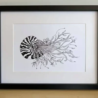 dessin d'un nautile en noir et blanc