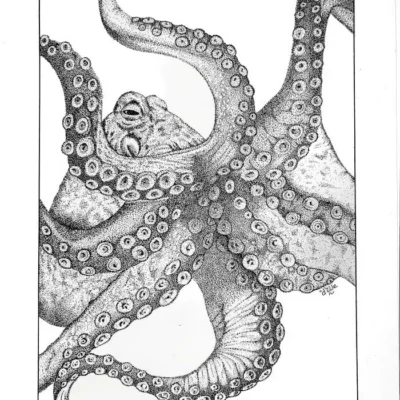 Octopus