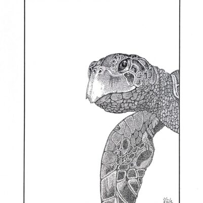 Dessins aux points (Stippling)
