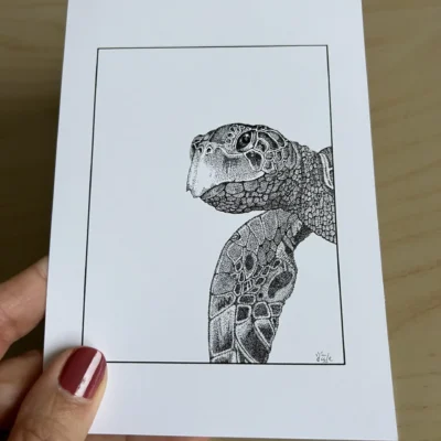 carte postale d'un dessin d'une tête de tortue marine . dessin en pointillisme en noir et blanc réalisé au feutre