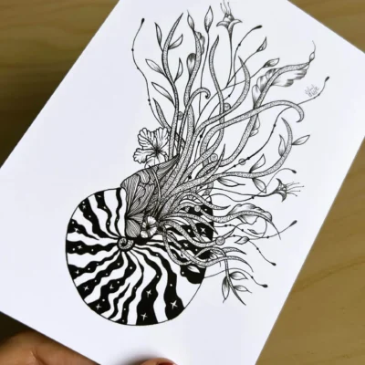 carte postale d'un dessin d'un nautile en noir et blanc . dessin au feutre