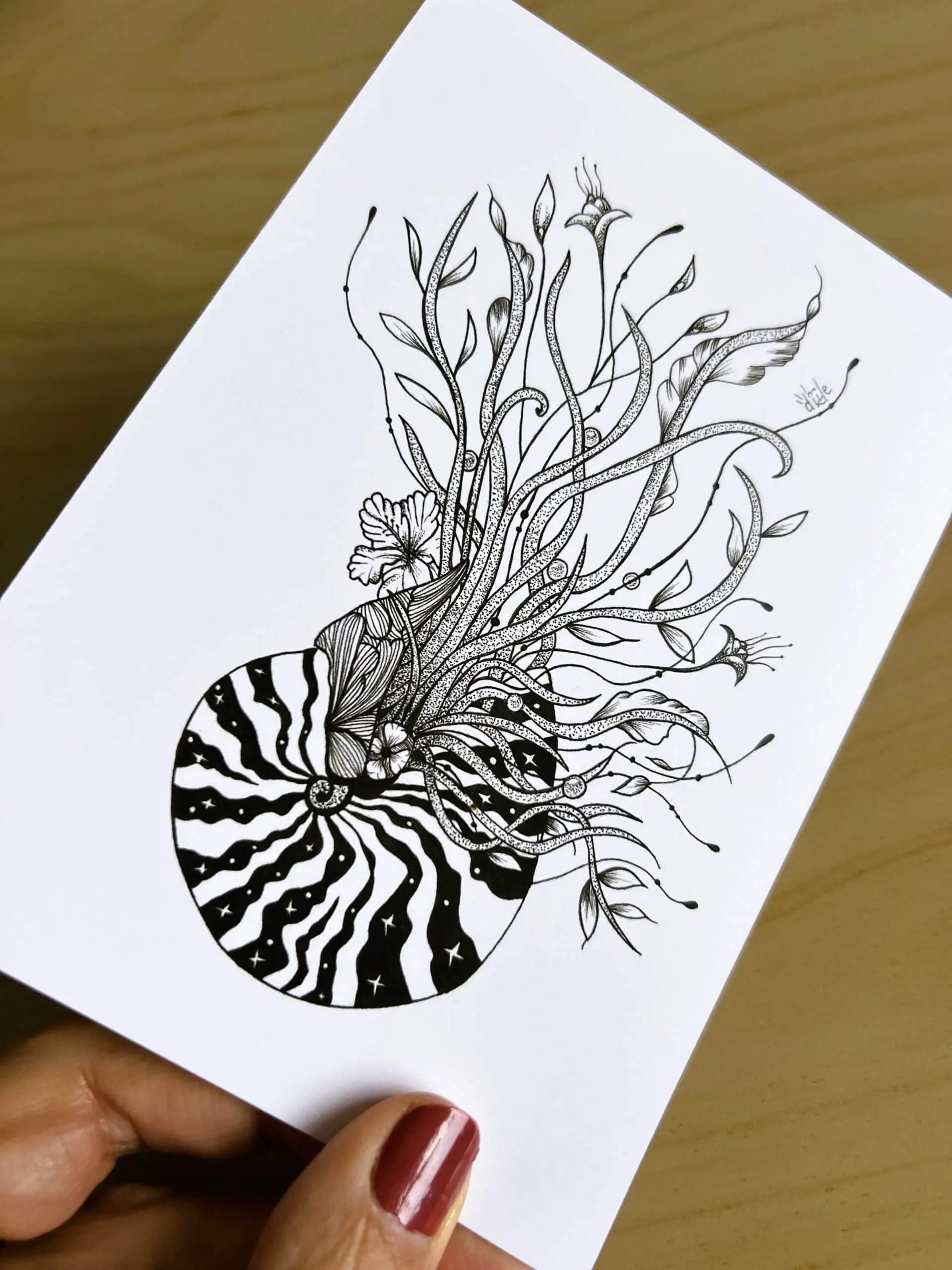 carte postale d'un dessin d'un nautile en noir et blanc . dessin au feutre