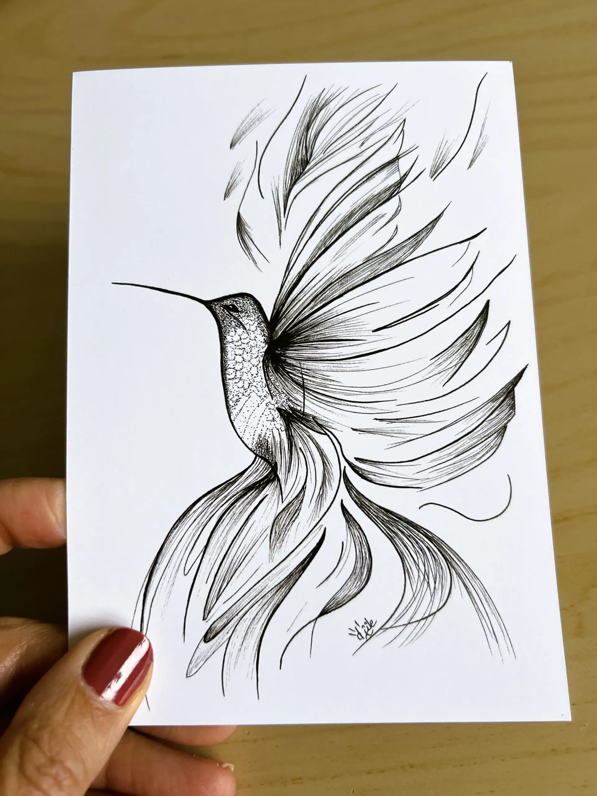 carte postale d'un dessin d'un colibri en plein vol . ailes comme un voile . dessin en noir sur fond blanc