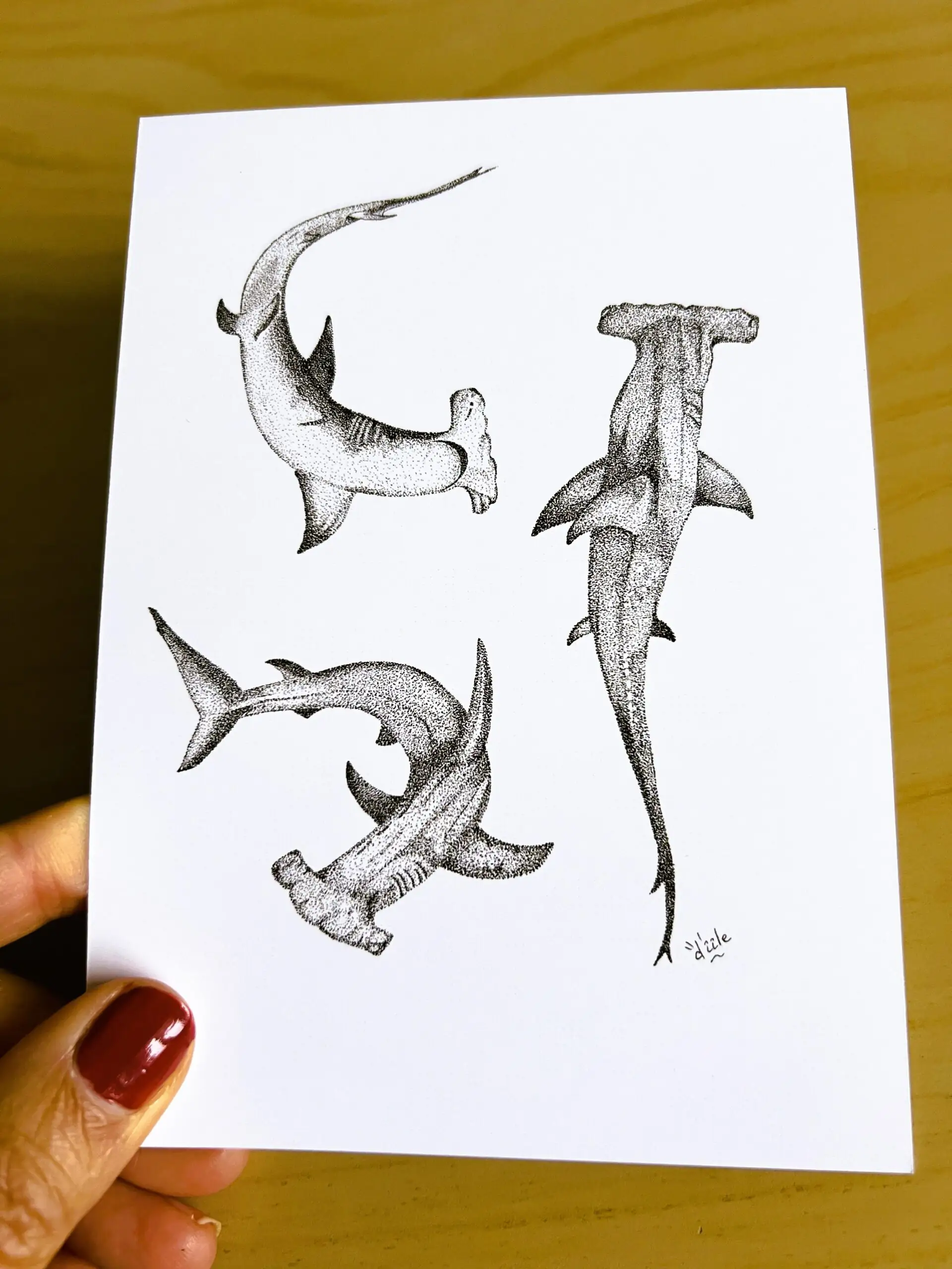 carte postale représentant un trio de requins marteaux . dessin en noir et blanc au feutre en pointillisme