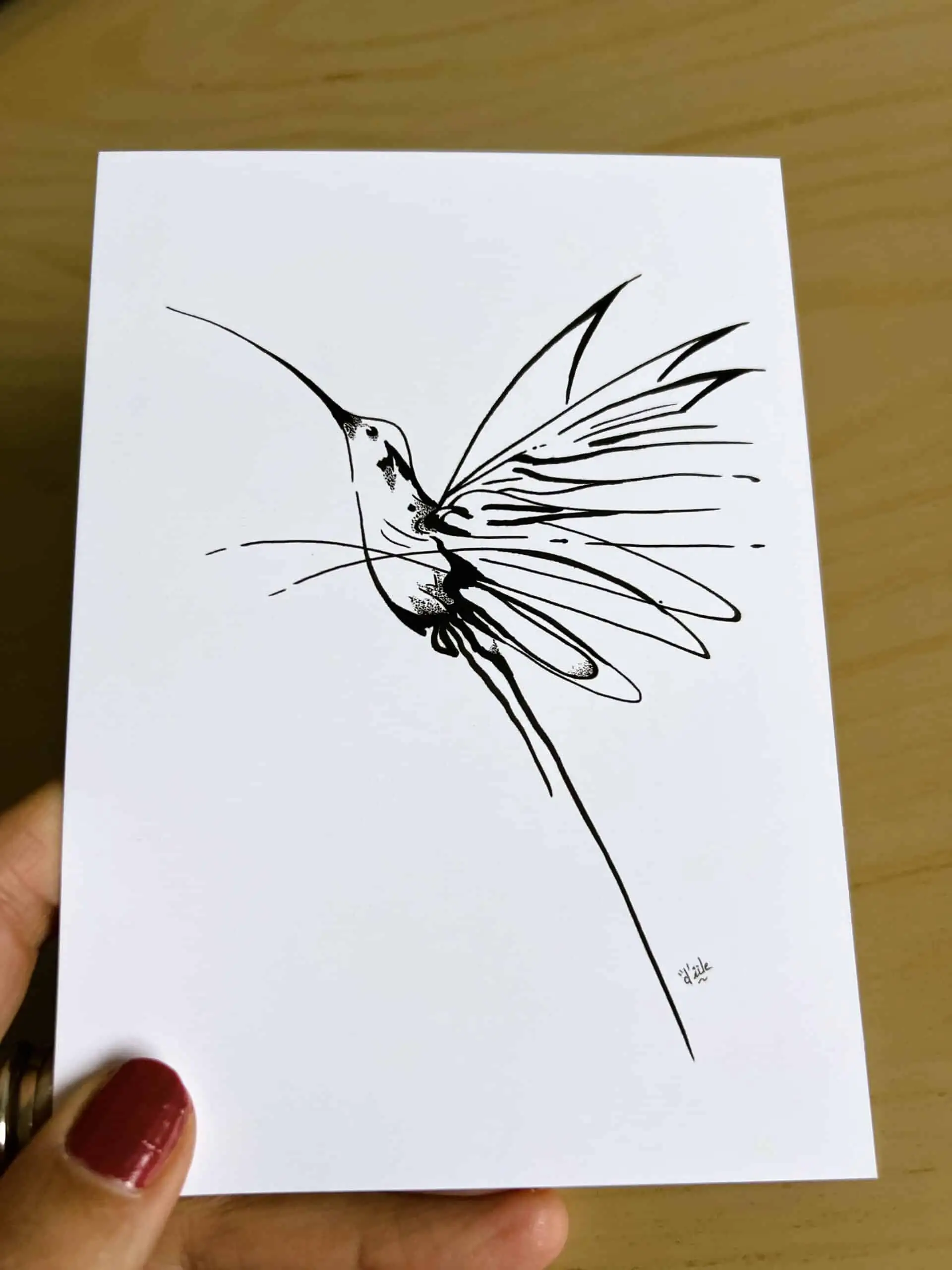 carte postale représentant un colibri en plein vol au feutre noir sur fond blanc