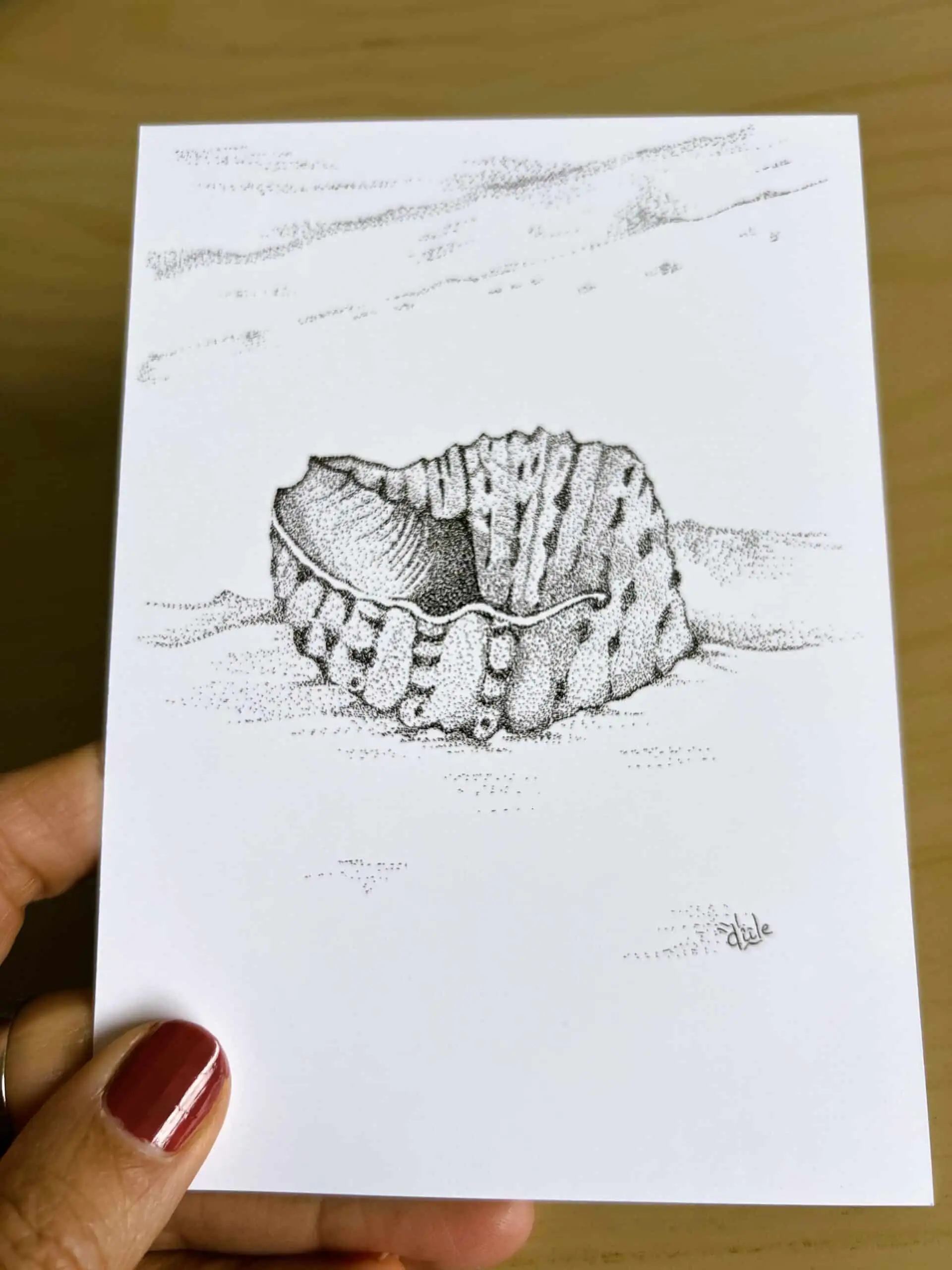carte postale représentant un coquillage dans lequel on entend la mer sur le sable . dessin en pointillisme en noir et blanc